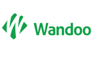 Wandoo opinie i recenzja